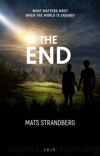 The End by Mats Strandberg