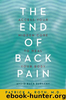 The End of Back Pain by Patrick Roth M.D