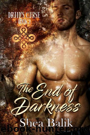 The End of Darkness (Druid's Curse Book 1) by Shea Balik