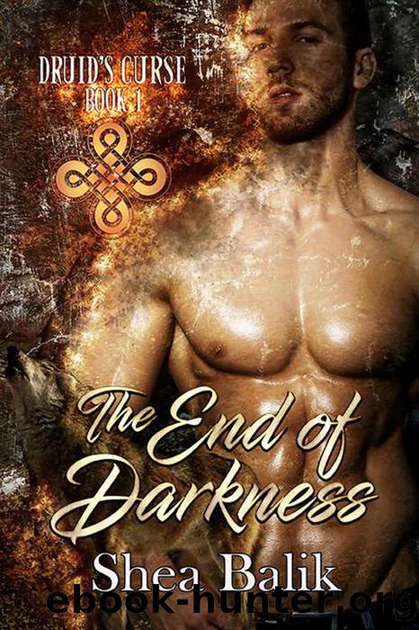 The End of Darkness by Shea Balik