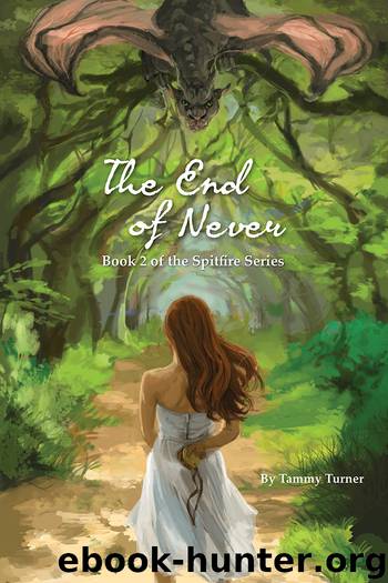 The End of Never by Tammy Turner