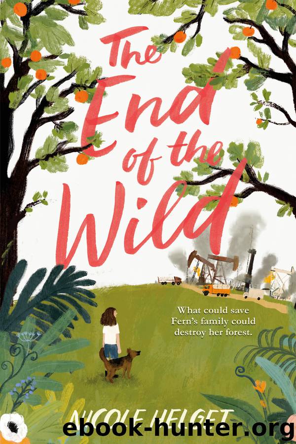 The End of the Wild by Nicole Helget