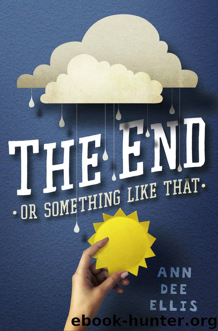 The End or Something Like That by Ann Dee Ellis