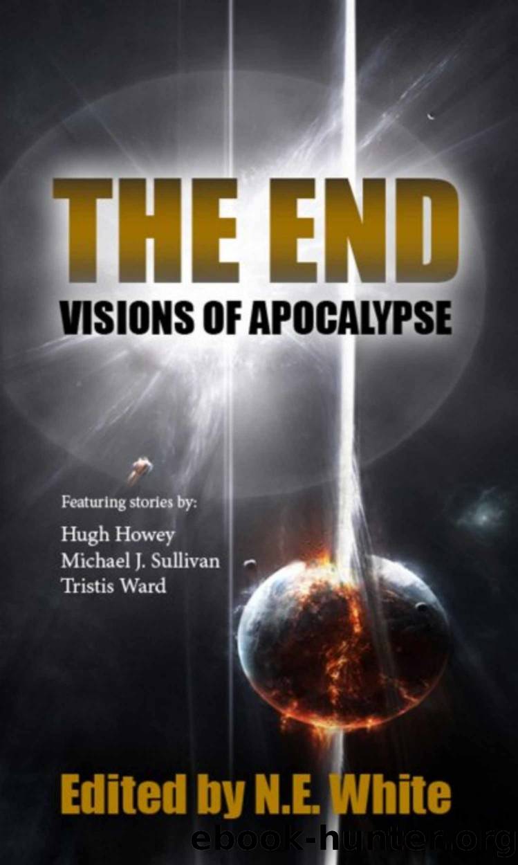 The End: Visions of Apocalypse by N. E. White