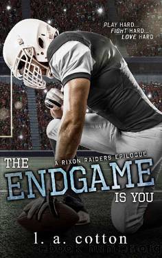 The Endgame Is You (Rixon Raiders Book 4) by L A Cotton