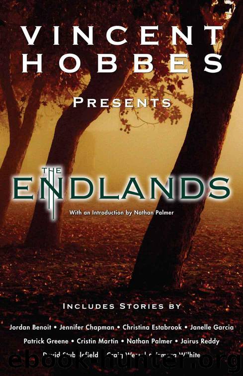 The Endlands (vol 1) by Hobbes Vincent & Greene Patrick & Martin Cristin & Stubblefield David & Garcia Janelle & Wessel Craig & Wilhite Tamara & Palmer Nathan & Benoit Jordan & Reddy Jairus