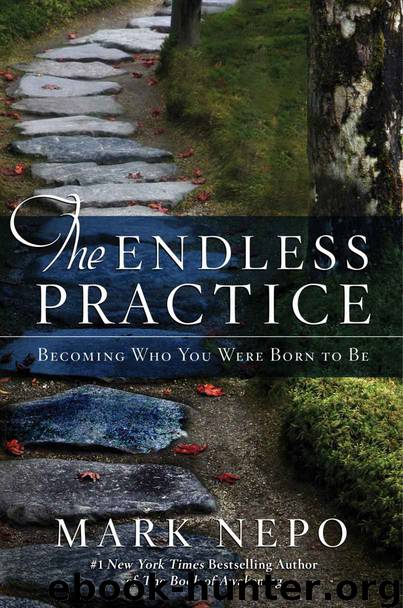 The Endless Practice: Becoming Who You Were Born to Be by Mark Nepo