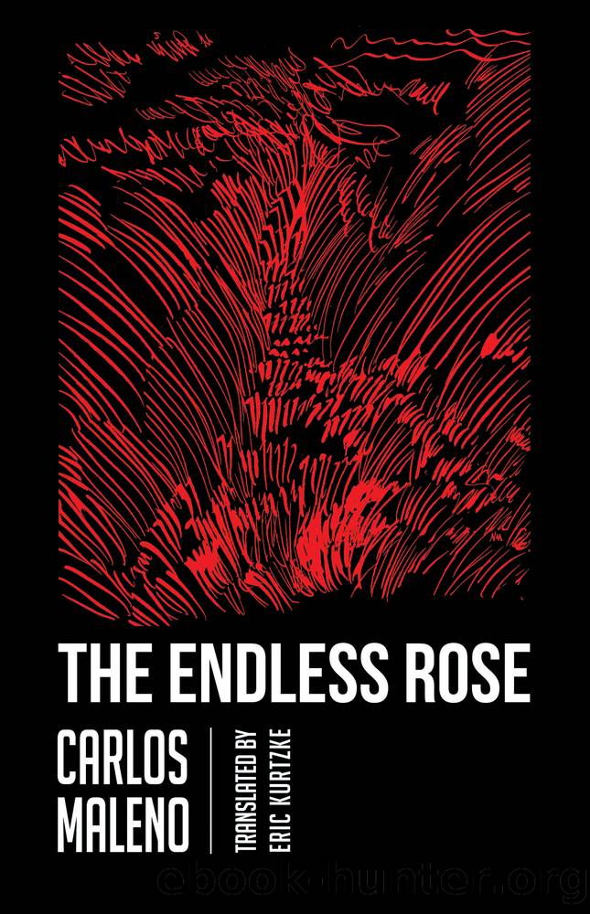 The Endless Rose by Carlos Maleno