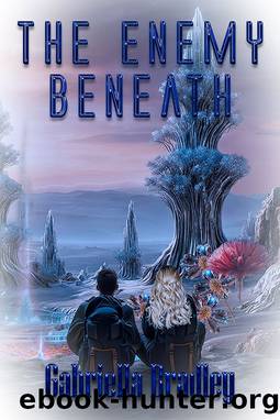 The Enemy Beneath by Gabriella Bradley