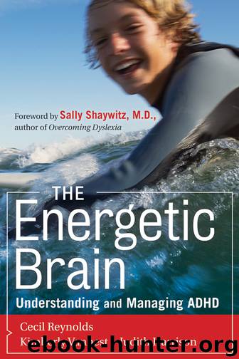 The Energetic Brain by Cecil R. Reynolds & Kimberly J. Vannest & Judith R. Harrison & Sally E. Shaywitz