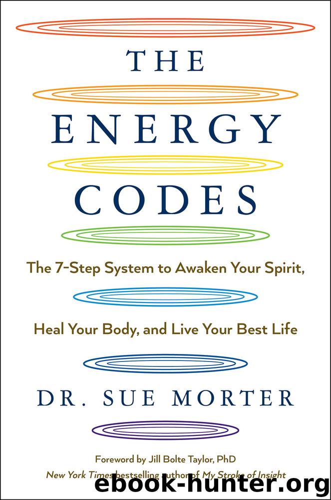 The Energy Codes by Sue Morter