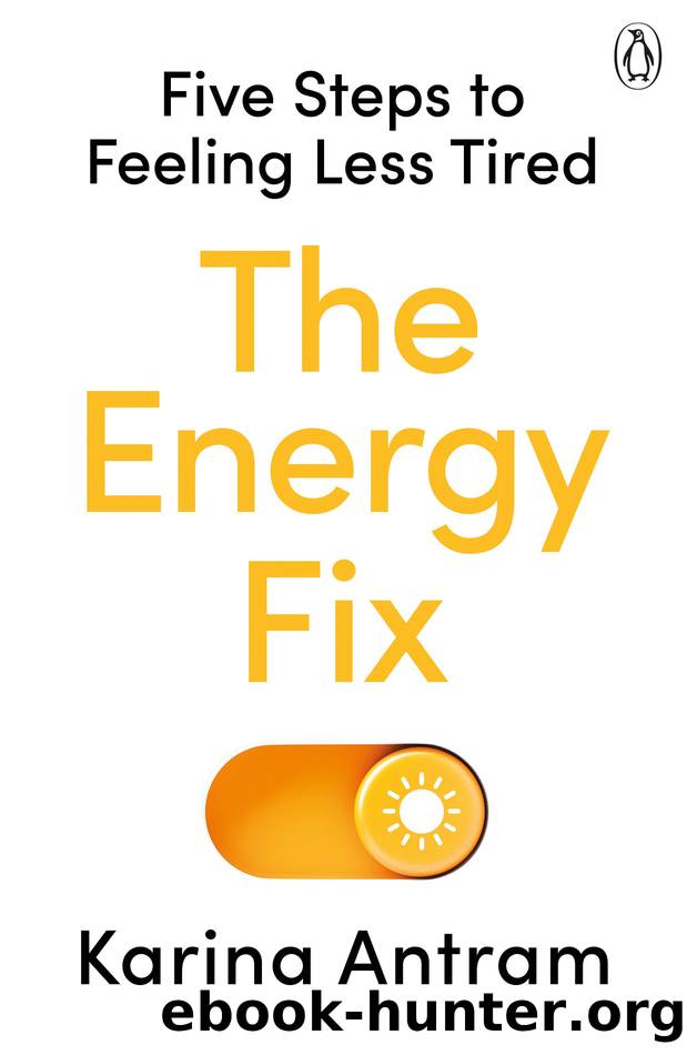 The Energy Fix by Karina Antram