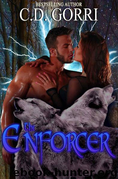 The Enforcer by C D Gorri