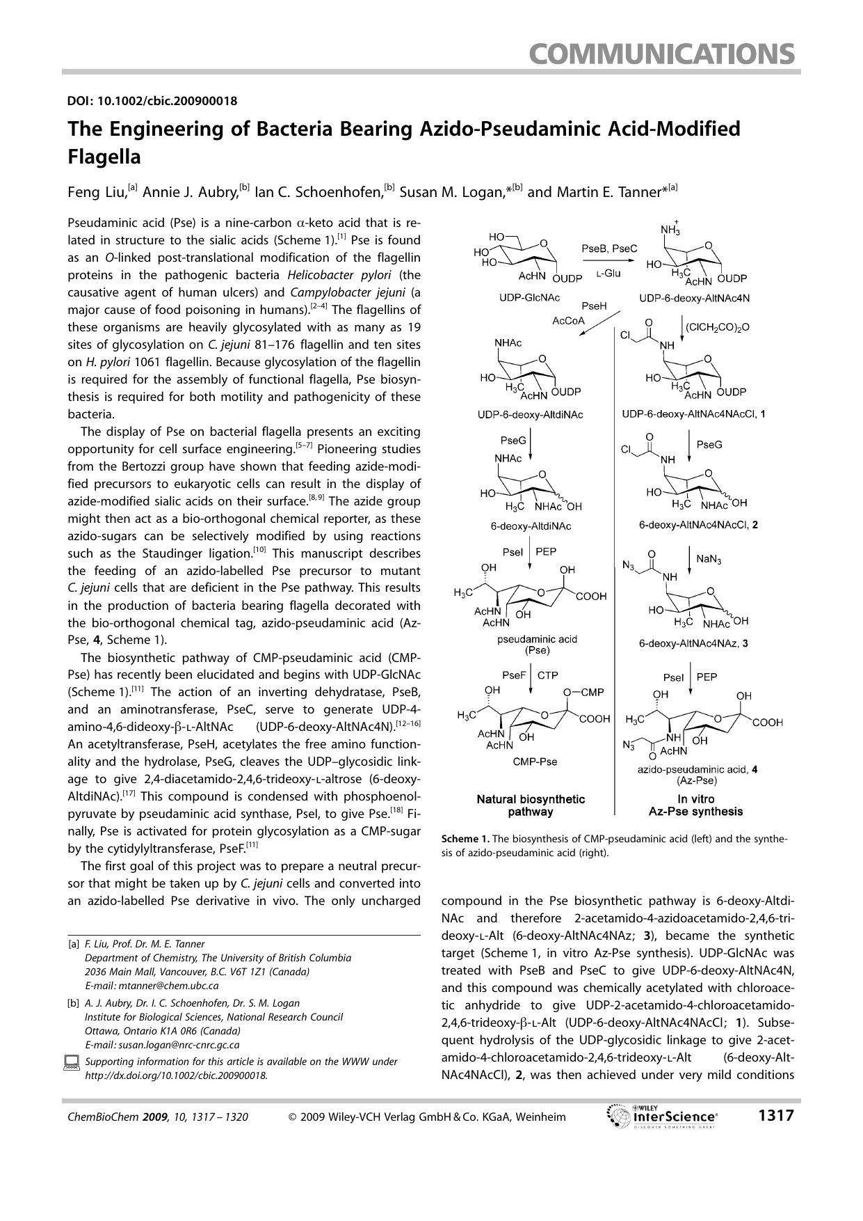 The Engineering of Bacteria Bearing Azido-Pseudaminic Acid-Modified Flagella by Unknown