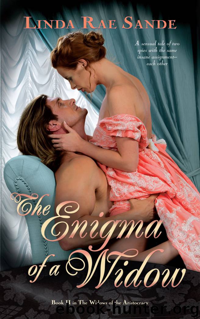 The Enigma of a Widow by Linda Rae Sande