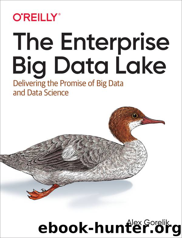 The Enterprise Big Data Lake by Alex Gorelik