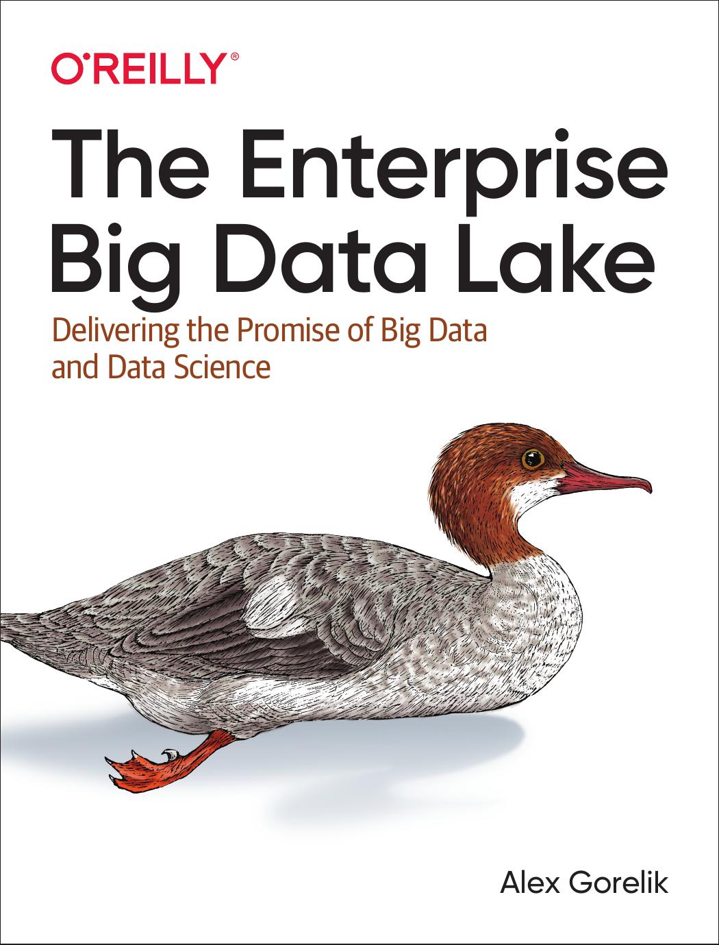 The Enterprise Big Data Lake: Delivering the Promise of Big Data and Data Science by Unknow