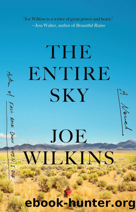 The Entire Sky by Joe Wilkins