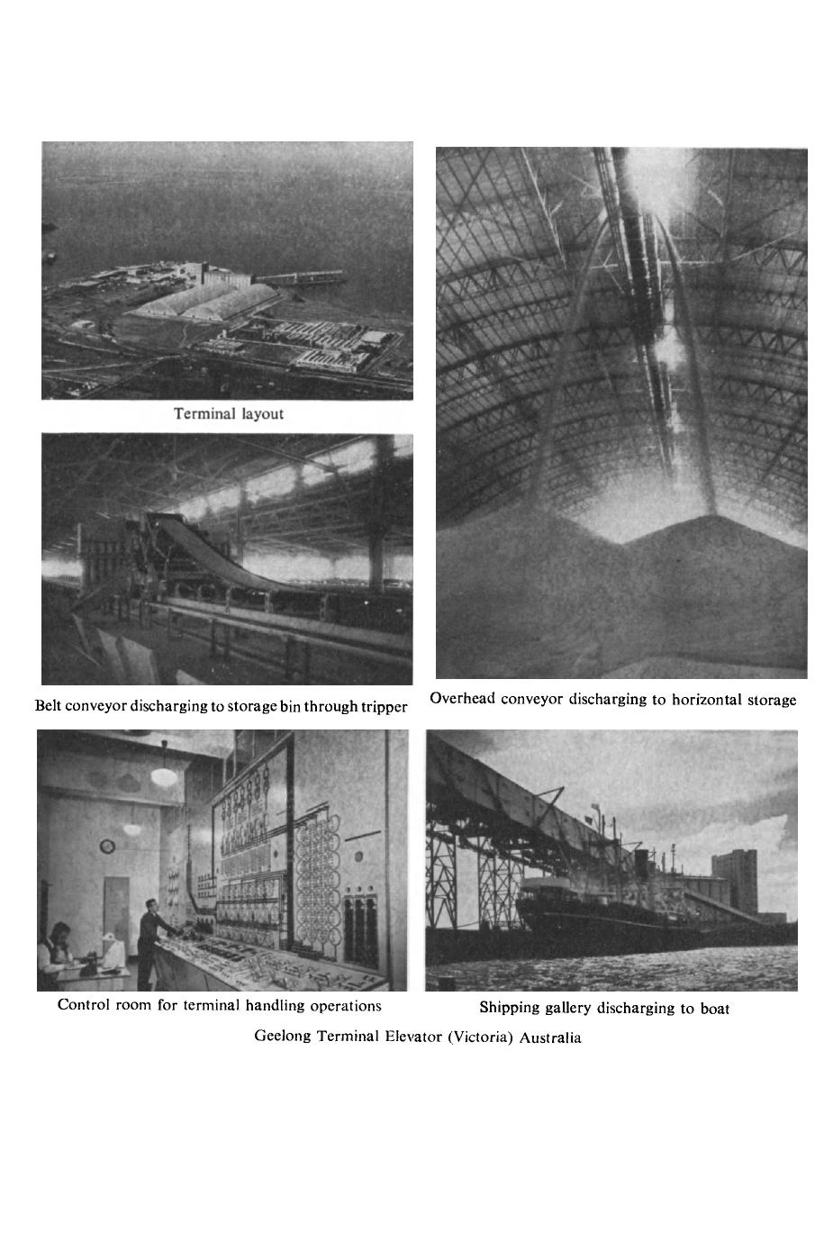 The Entomology of Radiation Disinfestation of Grain. A Collection of Original Research Papers by P. B. Cornwell (Eds.)