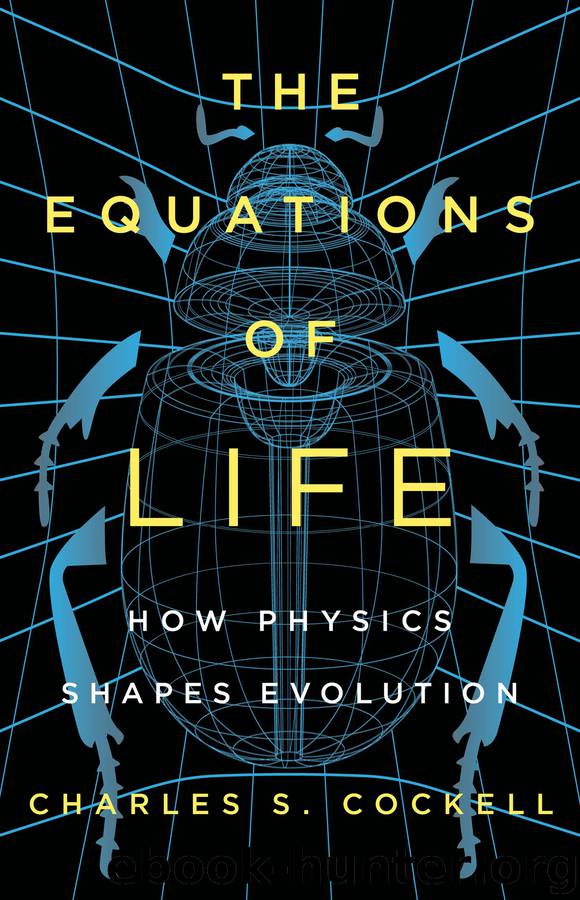 The Equations of Life by Charles S. Cockell