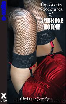 The Erotic Adventures of Ambrose Horne by Chrissie Bentley