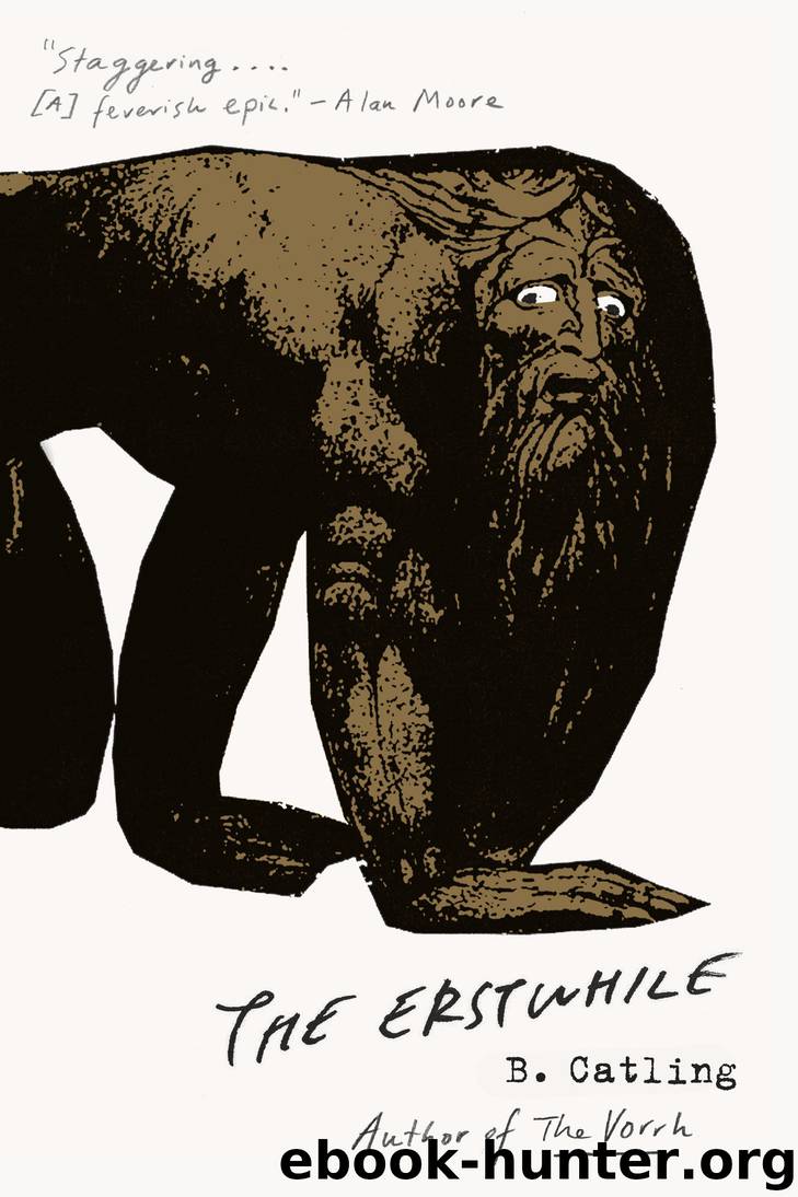 The Erstwhile by Brian Catling