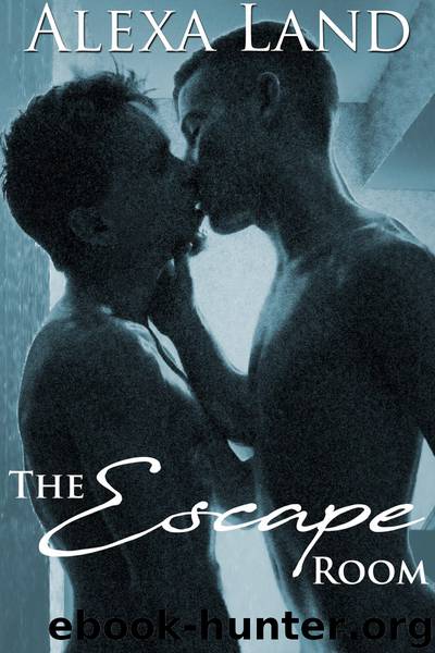 The Escape Room by Alexa Land
