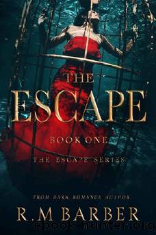 The Escape by R.M Barber