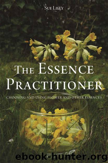 The Essence Practitioner by Sue Lilly