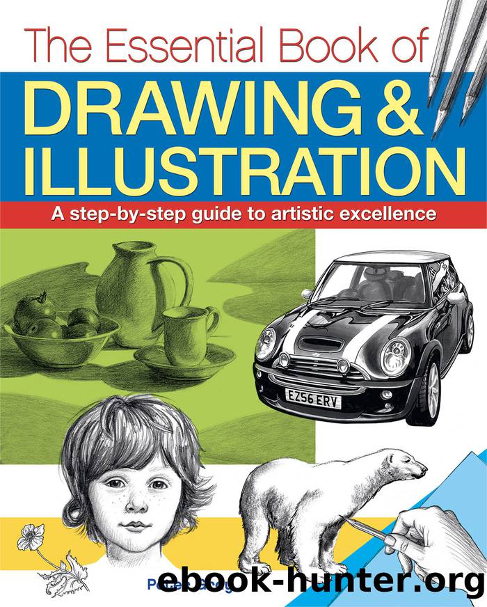 The Essential Book of Drawing & Illustration by Peter Gray