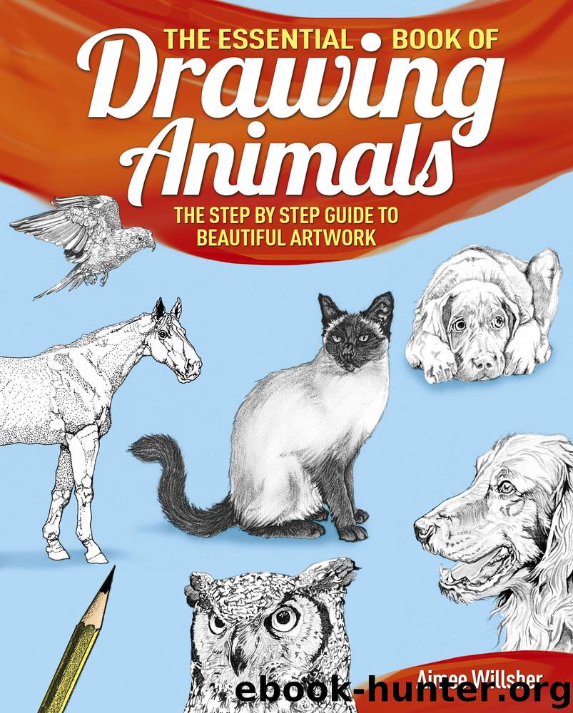 The Essential Book of Drawing Animals by Aimee Willsher