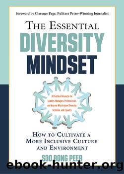 The Essential Diversity Mindset by Soo Bong Peer