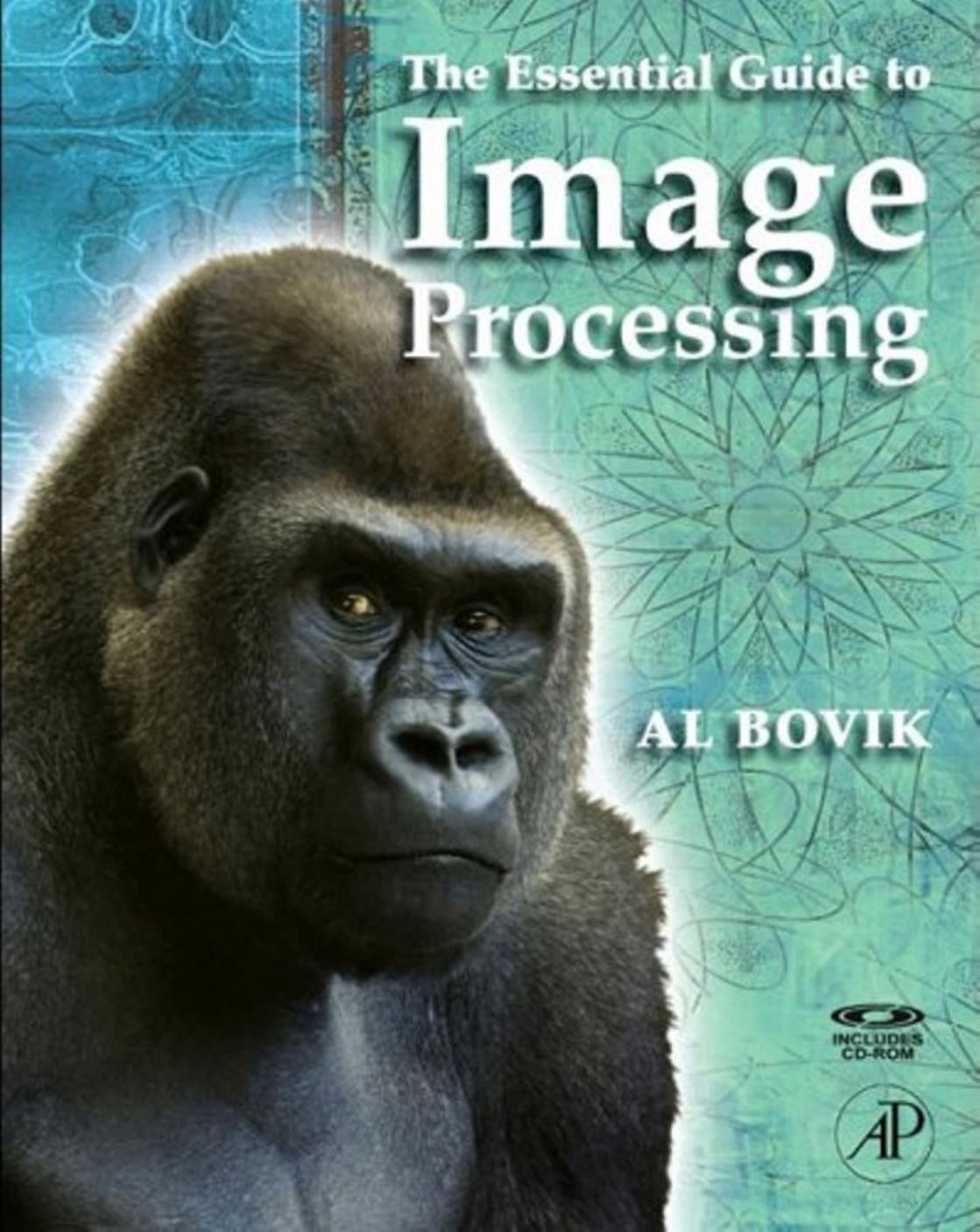 The Essential Guide to Image Processing by Unknown