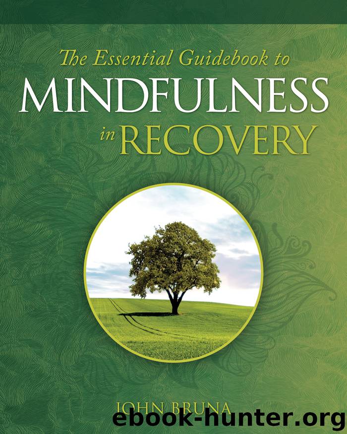 The Essential Guidebook to Mindfulness in Recovery by John Bruna