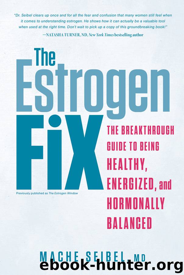 The Estrogen Fix by Mache Seibel