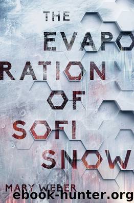 The Evaporation of Sofi Snow by Mary Weber