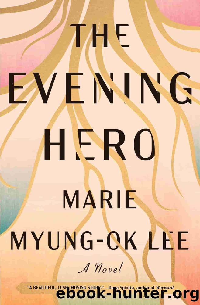 The Evening Hero by Marie Myung-Ok Lee