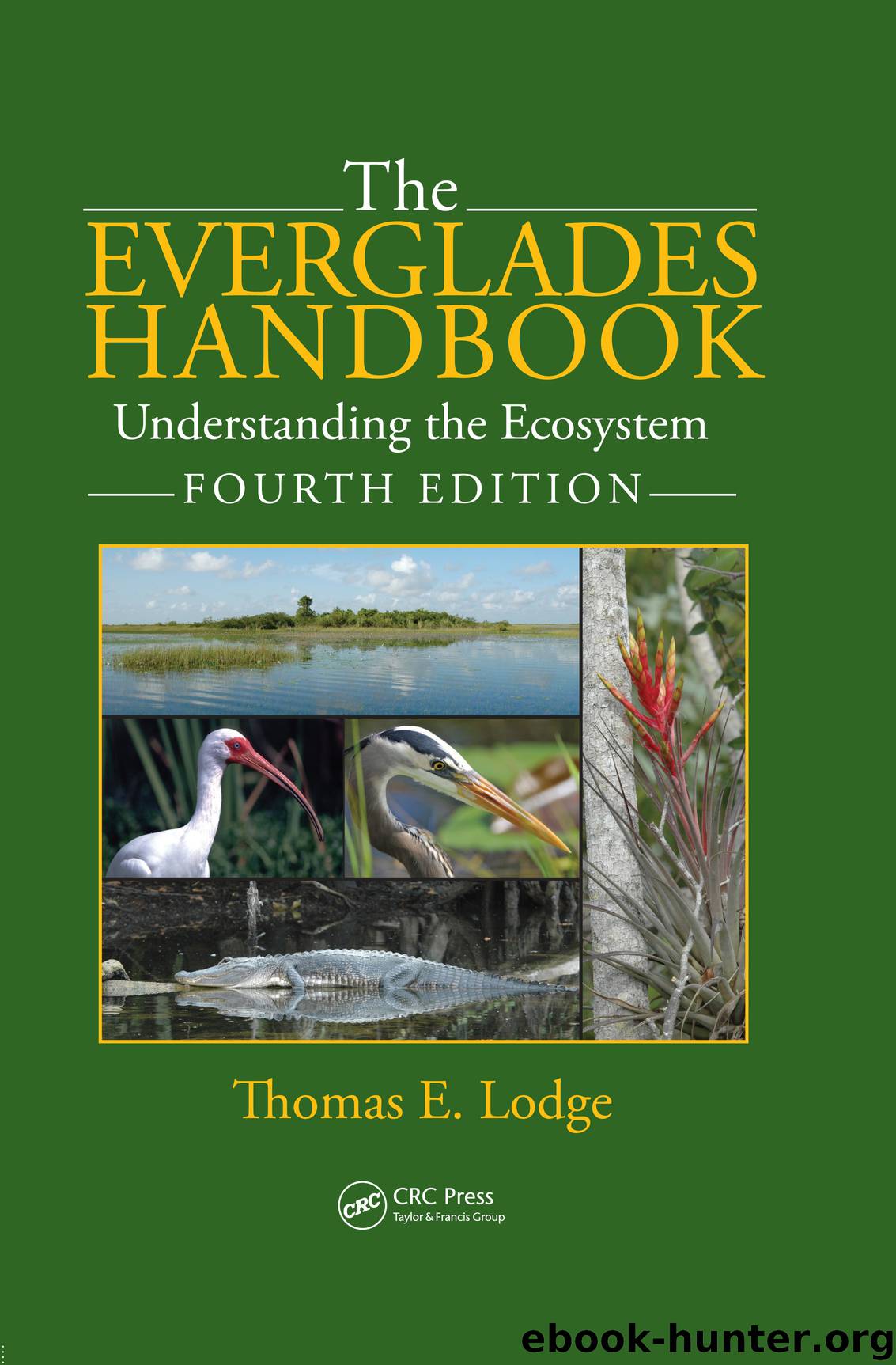 The Everglades Handbook by Thomas E. Lodge