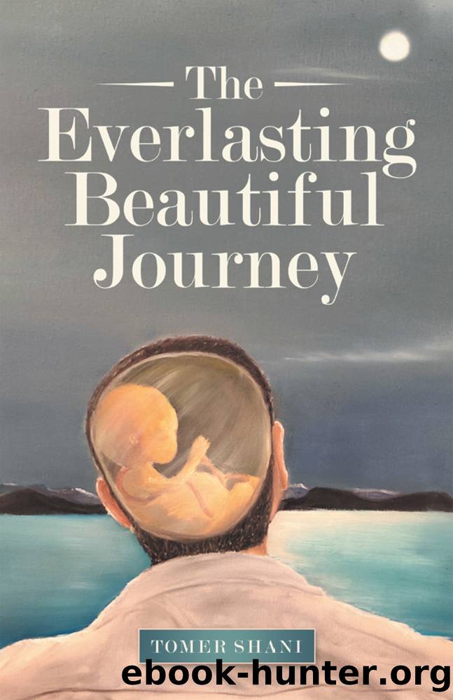 The Everlasting Beautiful Journey by Tomer Shani