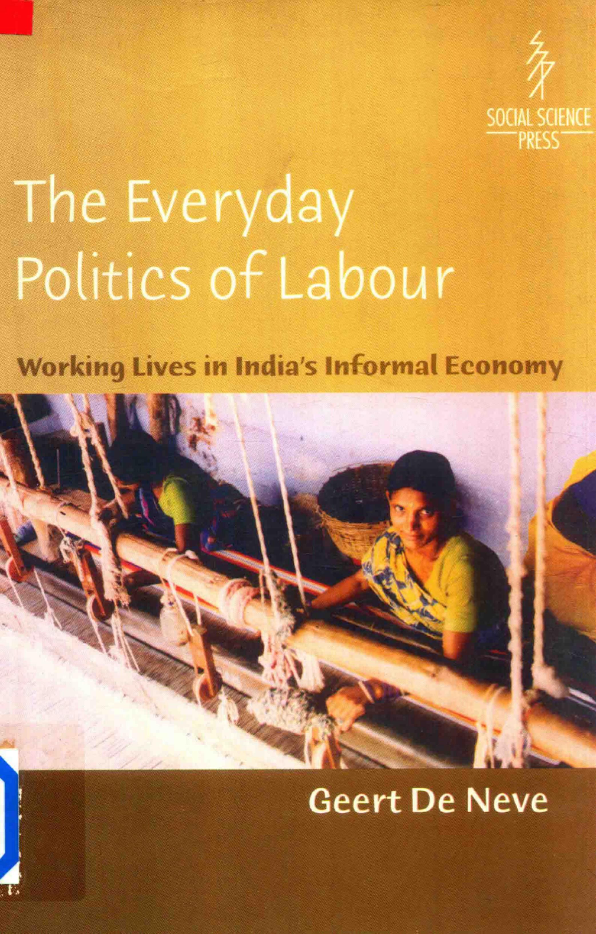The Everyday Politics of Labour: Working Lives in India's Informal Economy by Geert De Neve