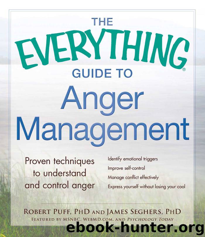 The Everything Guide to Anger Management by Robert Puff james seghers