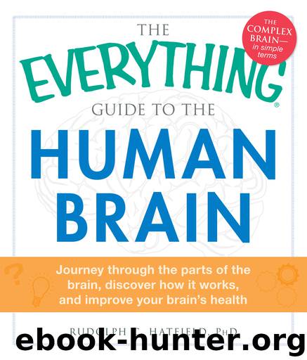 The Everything Guide to the Human Brain by Rudolph C. Hatfield