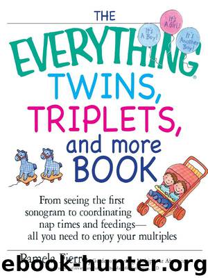 The Everything Twins, Triplets, and More Book by Pamela Fierro