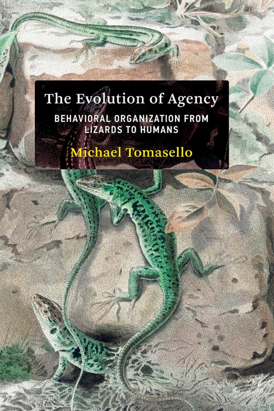 The Evolution of Agency: Behavioral Organization from Lizards to Humans by Michael Tomasello