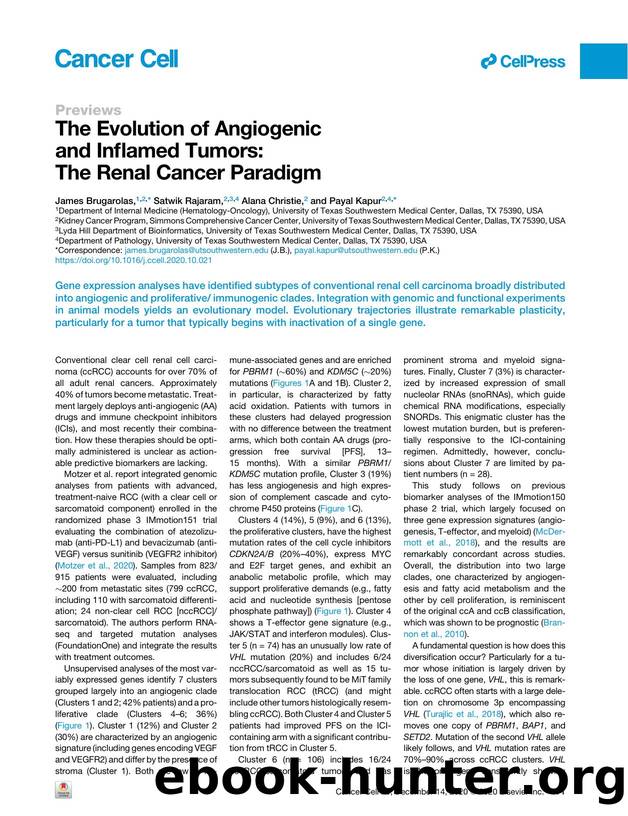 The Evolution of Angiogenic and Inflamed Tumors: The Renal Cancer Paradigm by James Brugarolas & Satwik Rajaram & Alana Christie & Payal Kapur