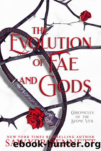 The Evolution of Fae and Gods by Sawyer Bennett