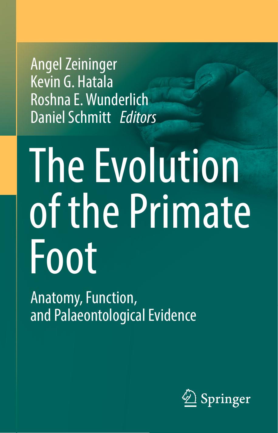 The Evolution of the Primate Foot: Anatomy, Function, and Palaeontological Evidence by Angel Zeininger Kevin G. Hatala Roshna E. Wunderlich Daniel Schmitt