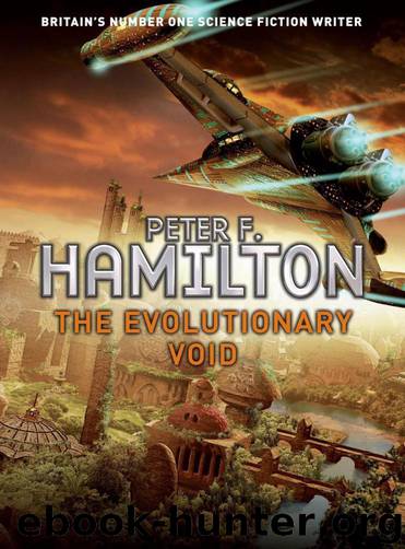The Evolutionary Void by Hamilton Peter F
