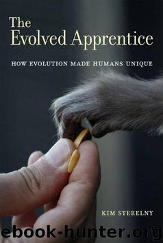 The Evolved Apprentice by Kim Sterelny