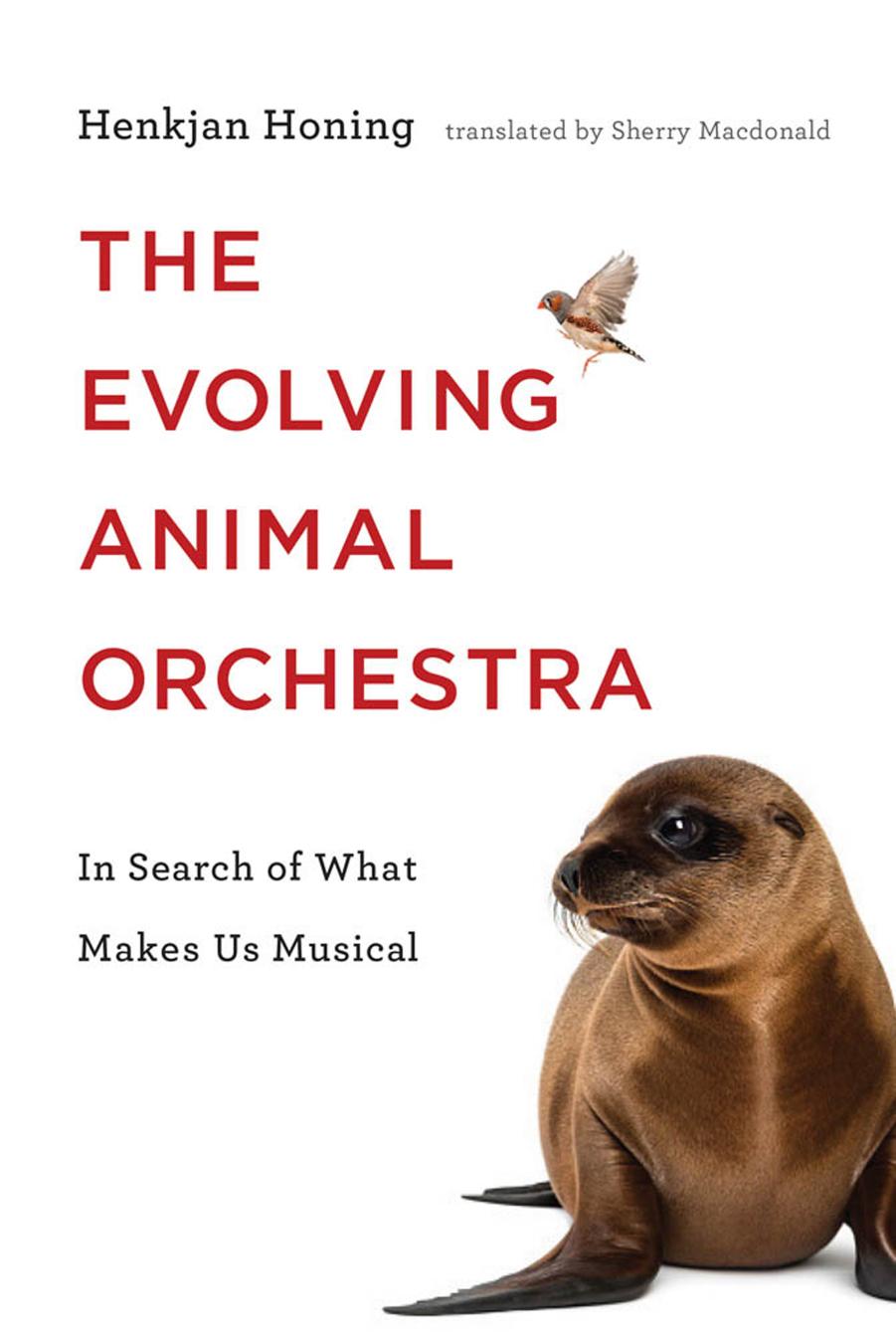 The Evolving Animal Orchestra: In Search of What Makes Us Musical by Henkjan Honing